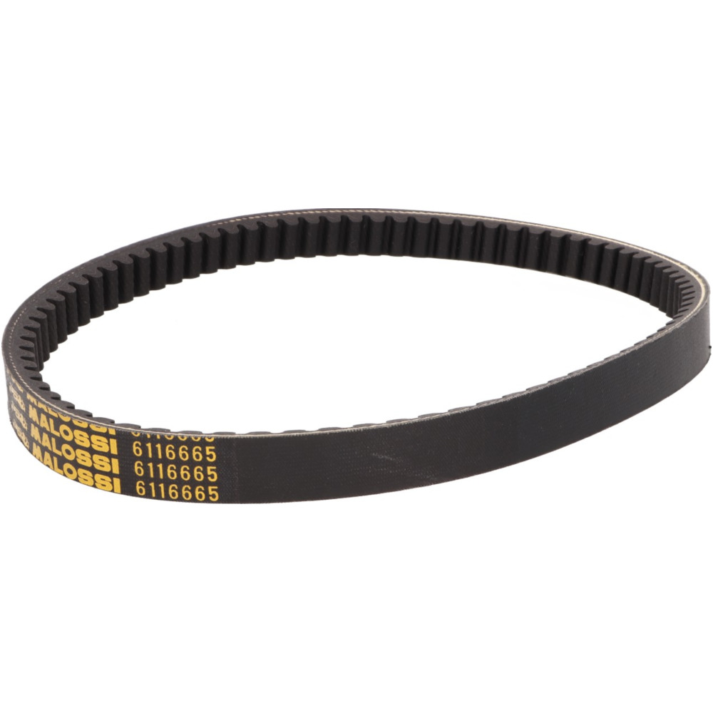 Antriebsriemen keilriemen malossi mhr x k belt für kymco agility, movie, people, super 8 125-200ccm m.6116665 Antriebsriemen keilriemen malossi mhr x k belt für kymco agility, movie, people, super 8 125-200ccm m.6116665 von Malossi