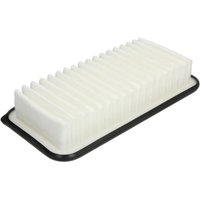 Luftfilter MANN-FILTER C 2513 Luftfilter MANN-FILTER C 2513 von Mann-Filter