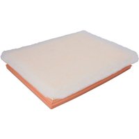 Luftfilter MANN-FILTER C 30 138 Luftfilter MANN-FILTER C 30 138 von Mann-Filter
