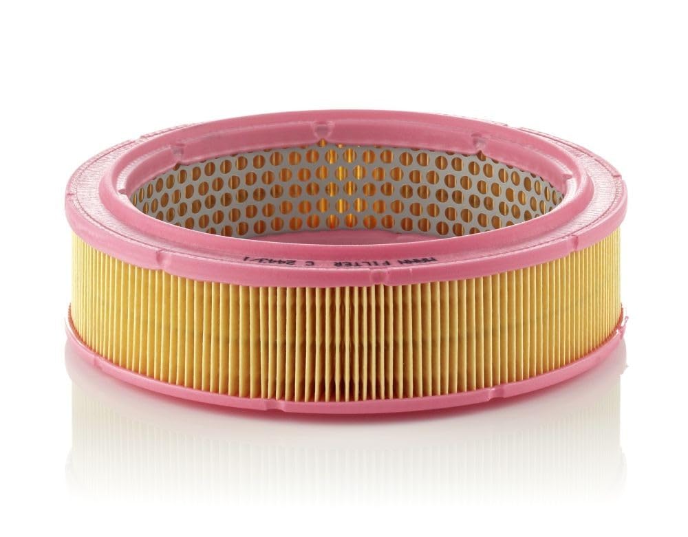 MANN-FILTER C 2443/1 Luftfilter – Für PKW von MANN-FILTER