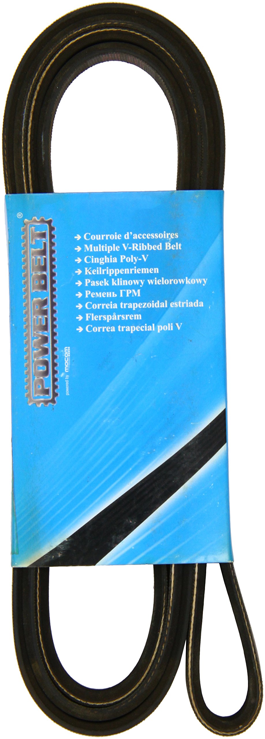 Mapco 262310 Keilrippenriemen Mapco 262310 Keilrippenriemen von Mapco