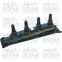 Zündspule MEAT & DORIA 10525 von Meat & Doria