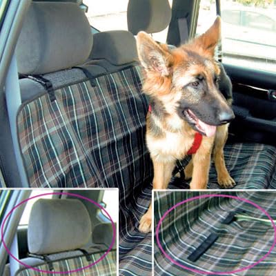 Mediashop Schutzdecke fürs Auto - Hund - Robustes & reißfestes Material - saubere Sitze - Bändern zum einfachen Befestigen von Mediashop