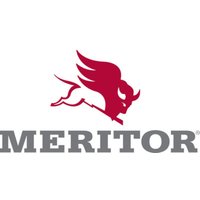 Verzinkte Sechskantmuttern MERITOR MER 99528001 von Meritor