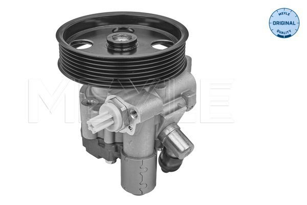 Hydraulikpumpe, Lenkung Meyle 014 631 0029 von Meyle