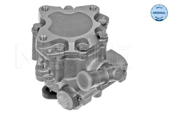 Hydraulikpumpe, Lenkung Meyle 114 631 0018 Hydraulikpumpe, Lenkung Meyle 114 631 0018 von Meyle