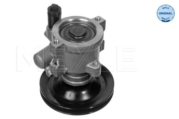 Hydraulikpumpe, Lenkung Meyle 614 631 0013 Hydraulikpumpe, Lenkung Meyle 614 631 0013 von Meyle