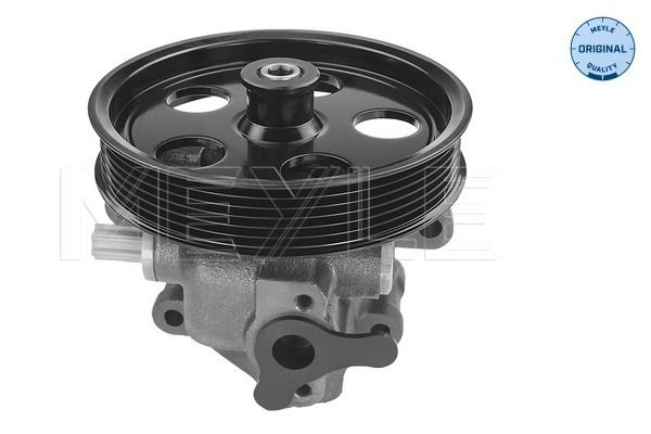 Hydraulikpumpe, Lenkung Meyle 714 631 0031 Hydraulikpumpe, Lenkung Meyle 714 631 0031 von Meyle