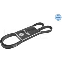 Keilrippenriemen MEYLE 050 006 1705 Keilrippenriemen MEYLE 050 006 1705 von Meyle