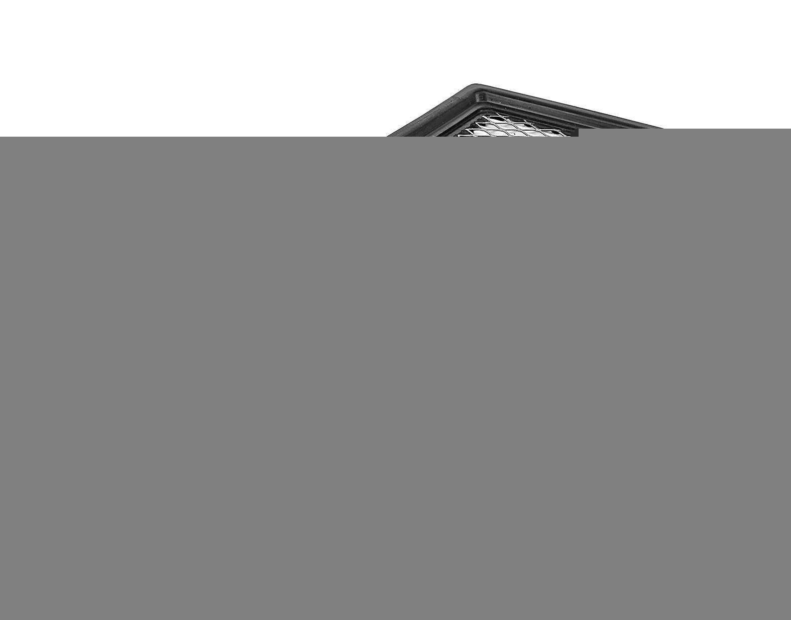 MEYLE 44-123210004 Luftfilter MEYLE 44-123210004 Luftfilter von Meyle