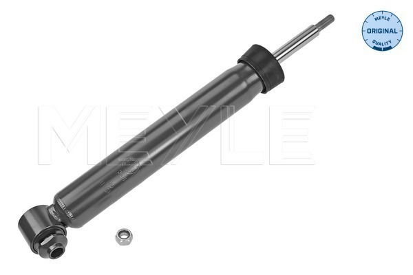 Stoßdämpfer Hinterachse Meyle 326 725 0029 Stoßdämpfer Hinterachse Meyle 326 725 0029 von Meyle