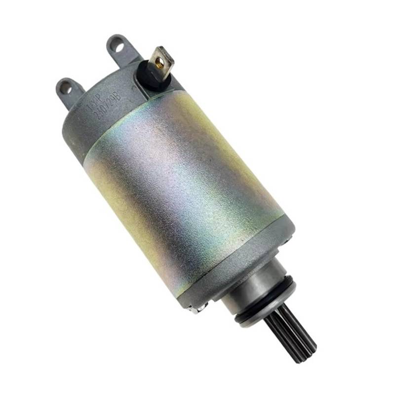 Anlasser Starter Relais Für Suzuki Für Haojue Für Qingqi GW250-FS GSX250 DL250-A DR300 XCR300 Motor Motorrad Selbststart Motor Motorrad-Anlasser von Mingbereit
