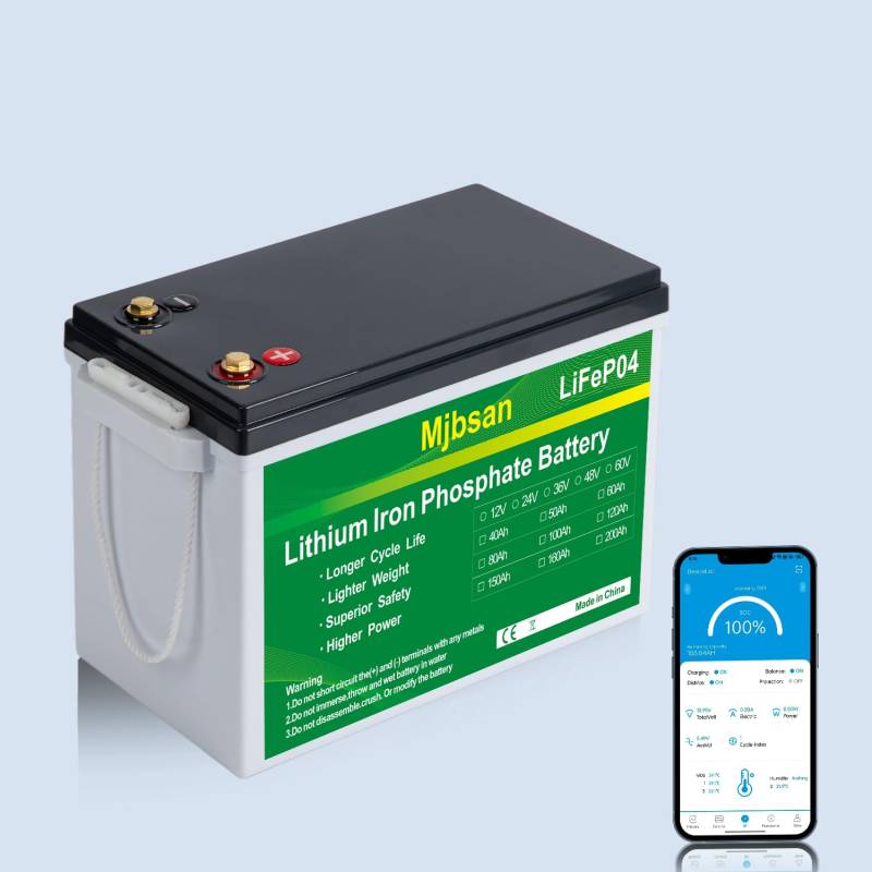 Mjbsan 12V 200Ah MINI LiFePO4 Autobatterie Eingebauter 200A BMS, 2560Wh Deep Cycle Lithium Batterie, 8000+ Zyklen, Ideal für Wohnmobil, Solar Trailer, Boot und Camping von Mjbsan
