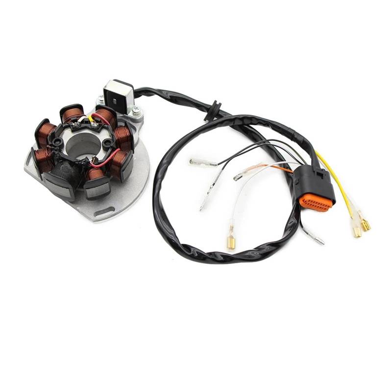 Motorrad Generator Magneto Stator Spule for EC125 2005-2006 EC200 2005-2008 EC250 2005-2008 EC300 2005-2008 von Mooyaya