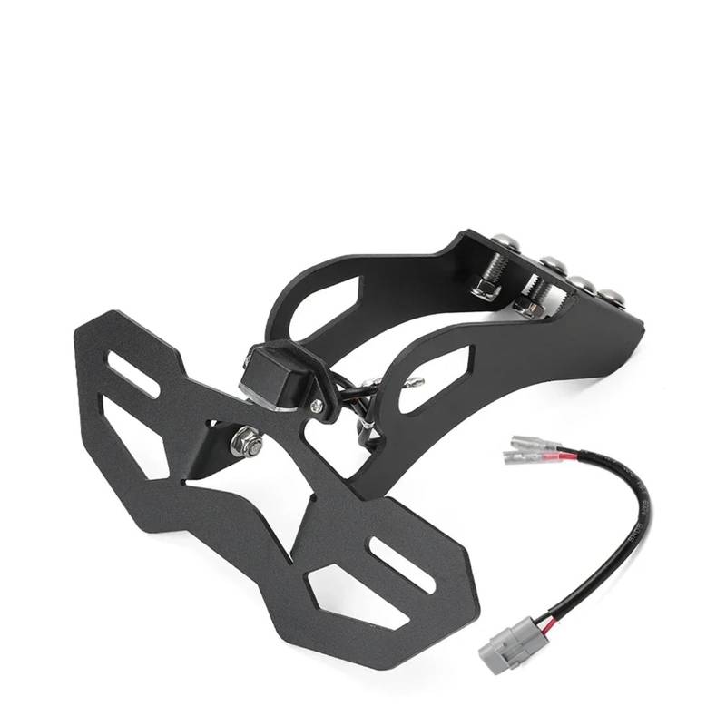 Motorrad Kennzeichen Halter for NINJA ZX-4R ZX-4RR ZX-25R(Type B) von Mooyaya