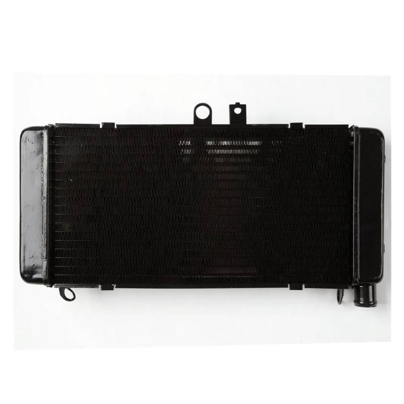 Motorrad Kühler Kühlung Kühler Ersatz for CB900 CB919F HORNET900 2002-2007 2006 2005 2004 2003 von Mooyaya
