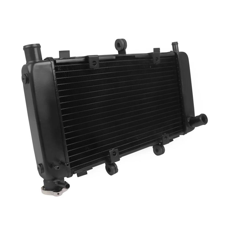 Motorrad Motor Kühler Kühler Kühlsystem Wassertank for FZ600 FZ6 FAZER FZ6N FZ6S 1998-2010(04-10) von Mooyaya