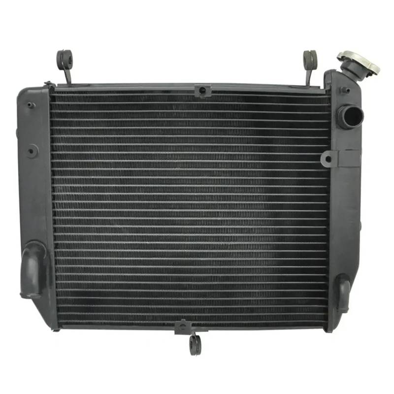 Motorrad Motor Kühler Kühler for YZFR1 YZF-R1 2002 2003 YZF R1 von Mooyaya