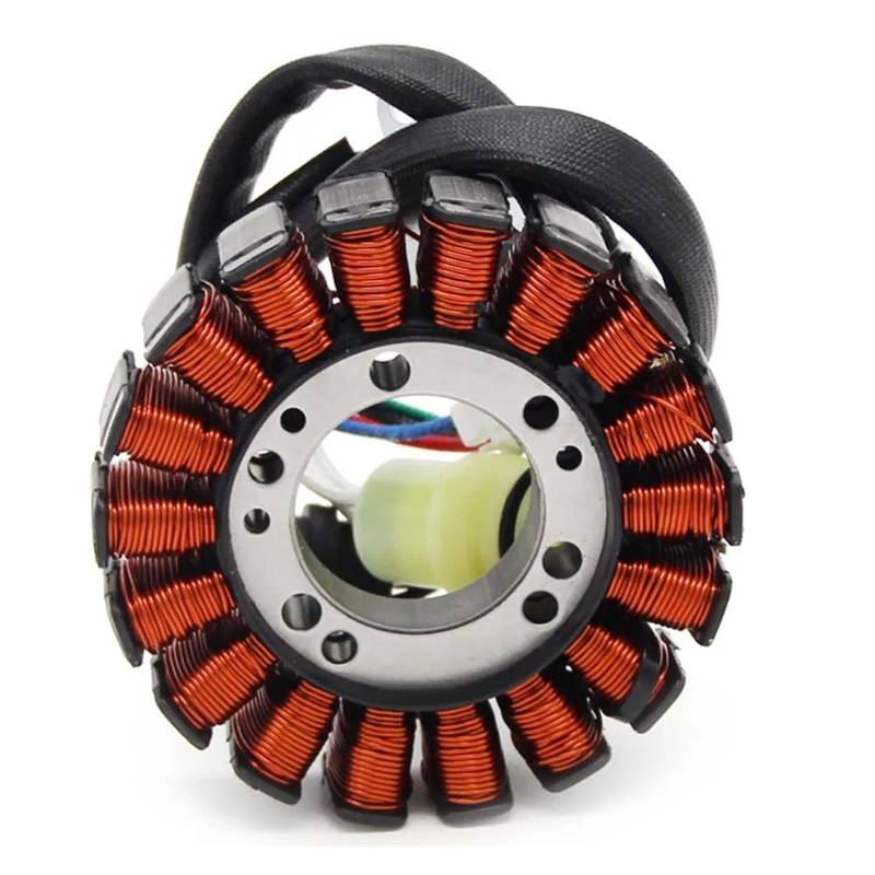 Motorrad Zündung Magneto Stator Spule for YFM250 YFM250B YFM250X YFM660R YFM660RLE YFM660RSE Raptor 660R Bär Bruin 250 von Mooyaya
