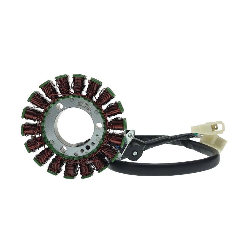 Vergaser Electrojet EFI Zündspule Stator Generator for TNT150 TNT150i BJ150-29 BJ150-29A BJ150-29B TNT BJ 150(Carburetor Version) von Mooyaya