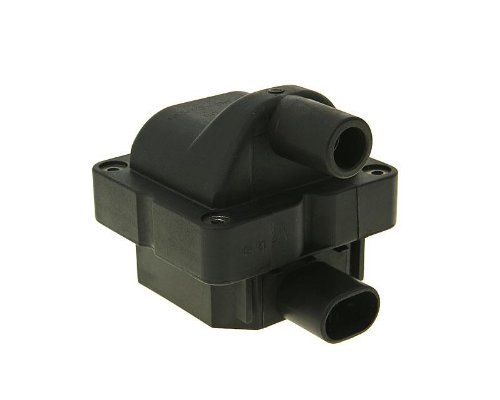 CDI Zündbox mit Spule für Vespa LX 50 4T 4V 08- ZAPC387 von Homry
