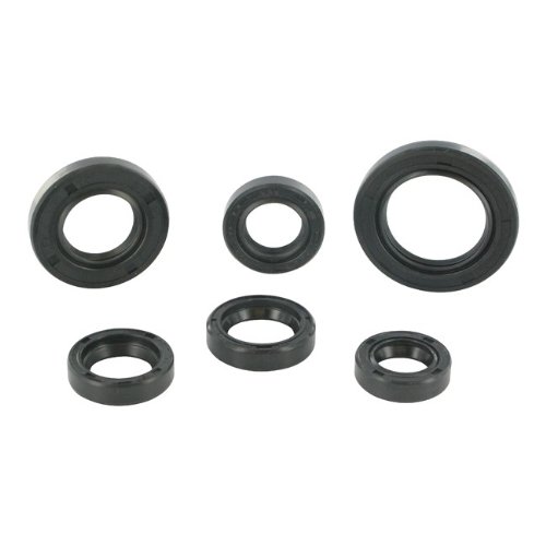 Wellendichtringsatz Motoforce für, (6 Stück) Peugeot, Buxy, Elyseo, Elystar, Looxor, Speedake, New Vivavity, Vivacity, Speedfight 1, 2, Squab, Splinter, TKR, Trekker Zenith 50 von MOTOFORCE