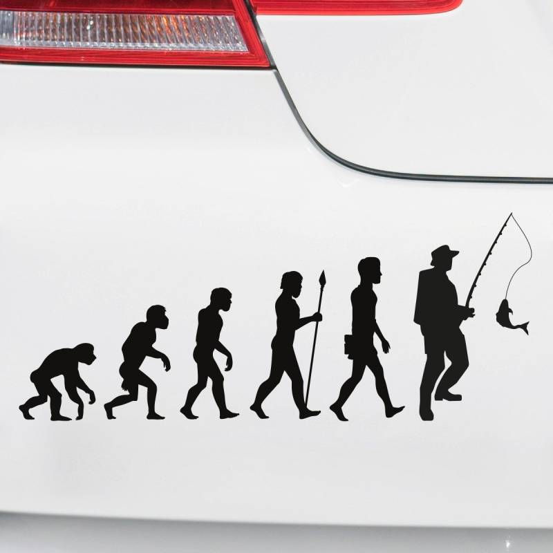 Motoking Autoaufkleber - Lustige Sprüche & Motive für Ihr Auto - Evolution Angeln - 25 x 10,2 cm - Weiß Glänzend von Motoking