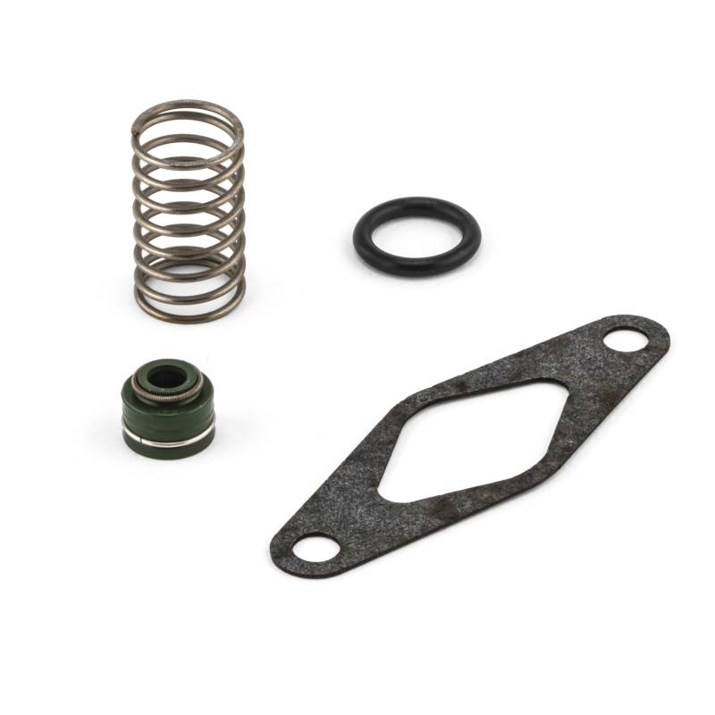Komplatibel mit Aprilia RS 125 [Rotax 122 und 123] - Schieber Ventilschaftdichtung Feder O-Ring Dichtung von Motorize