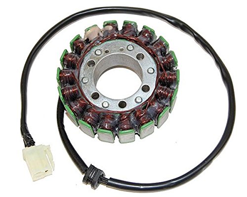 Lichtmaschine Ersatzteil für/kompatibel mit Triumph Tiger 955I Sprint Speed Triple 955 99-06 Lichtmaschine Ersatzteil für/kompatibel mit Triumph Tiger 955I Sprint Speed Triple 955 99-06 von MotorsportGoetz