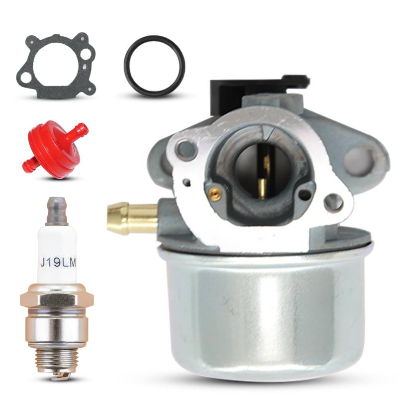 Mtanlo 799868 Vergaser für 799868 498170 497586 497314 698444 498254 497347, Motorvergaser-Ersatzsatz mit RJ19LM Zündkerzen-Kraftstofffilter von Mtanlo