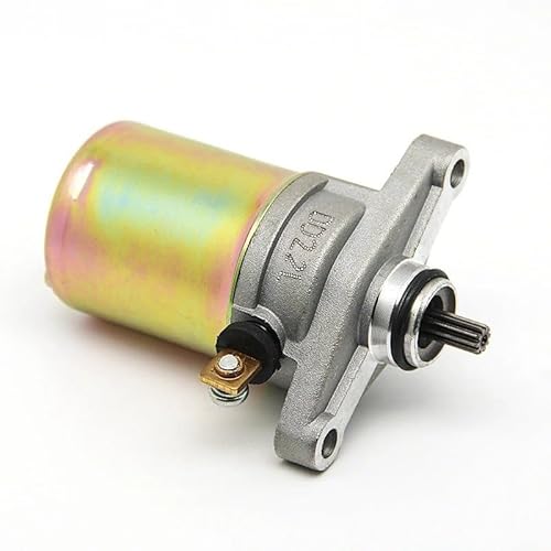 Anlasser Motor Für GY6 49cc 50cc Roller 139QMB Moped ATV Go Karts TAOTAO SUNL ROKETA Racing Motor Elektrische Starter Motor 10 Zähne Starter Motor Anlasser Motor Für GY6 49cc 50cc Roller 139QMB Moped ATV Go Karts TAOTAO SUNL ROKETA Racing Motor Elektrische Starter Motor 10 Zähne Starter Motor von Mtuqvma