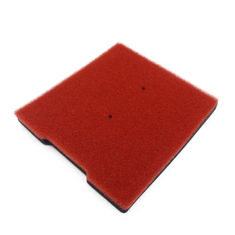 Myingaou Motorrad Schwamm Luftreiniger Filter für Kawasaki KLE 300 X300 2017-2021 2018 2019 2020 von Myingaou