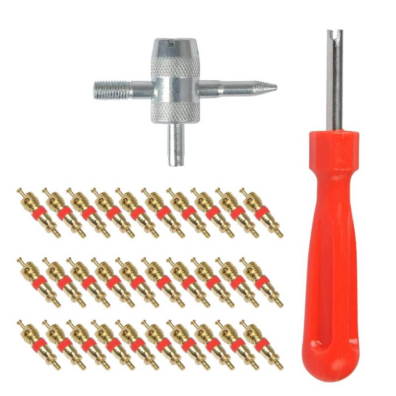 "N/A" Ventilentferner, 32-teiliges Reifenventil-Werkzeug – 4-Wege-Auto-/Fahrrad-Reifenventil-Reparatur, Einzelkopf-Ventil-Entferner, Kupfer-Ventileinsätze, für Auto, Fahrrad, Motorrad von "N/A"