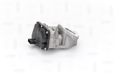 Nap Carparts AGR-Ventil [Hersteller-Nr. CAV10179] für Dacia, Renault von NAP carPARTS