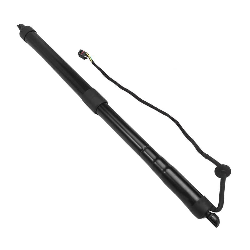 Kofferraum Gasfeder Für Hyundai Für Santa Fe Sport 2015 2016 2017 2018 Hinten Fender Power Hatch Lift Unterstützung 817802W600 817702W600 Gasdruckfeder(RH) von NAUTIG