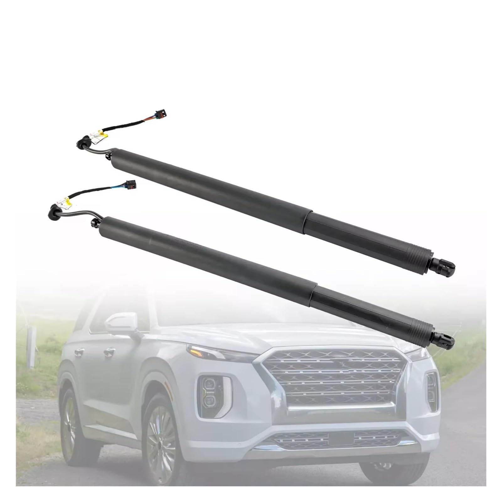 Kofferraum Gasfeder Links/Rechts Für Hyundai Für Palisade 2020 2021 2022 Power Heckklappen Lift Unterstützung 81831-S8100 81841S8100 Gasdruckfeder Kofferraum Gasfeder Links/Rechts Für Hyundai Für Palisade 2020 2021 2022 Power Heckklappen Lift Unterstützung 81831-S8100 81841S8100 Gasdruckfeder von NAUTIG