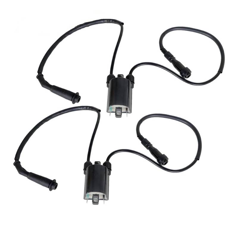 Zündspulen Für Shadow Für VLX Für VT600C 1988-1994 1995 1996 1997 1998 1999 2000 2001 2002 2003 2004 2005 2006 2007 2 Sätze Zündspule & Zündkerzenstecker Zündspule von NCTPICLC