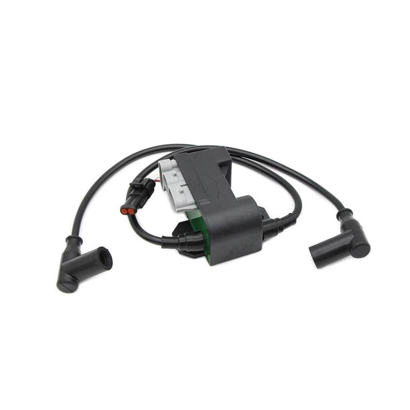 Zündspulen Motorzündspule 512060040 512059945 Für Ski-DOO Für Expedition 550F Für GSX 550F Für Fan Für GTX 550F Für Fan Für MX Z 550F 550X Für Summit 550F Zündspule von NCTPICLC