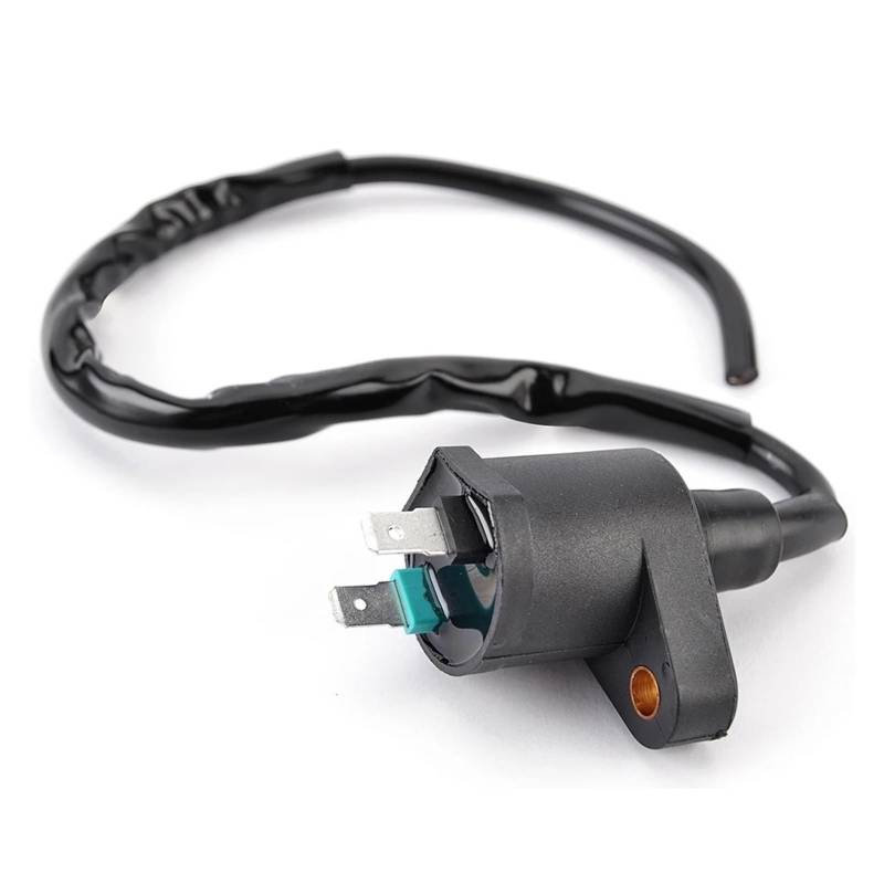 Zündspulen Zündspule Kpl Für 43D-H2310-00 Für Raptor 90 YFM90R 2009 2010 2011 2012 2013 Zündspule von NCTPICLC
