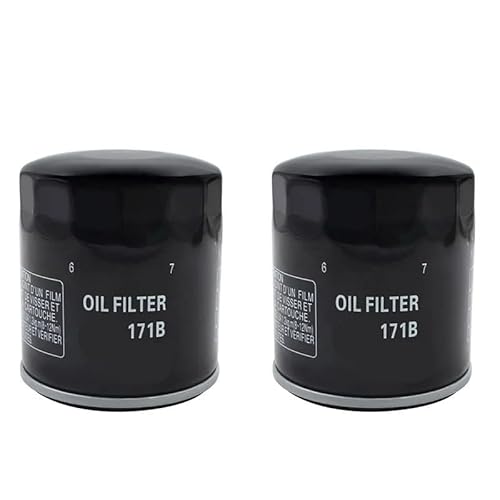 2/3 Pcs Motorrad Öl Filter for FLHTCUL FLHTP FLHT FXSTC FLTRUSE FXDF FXDL FXDWG XL1200C XL1200X FLSTNSE FLHRSE6 Dyna(2pcs) von NGIRHGUE