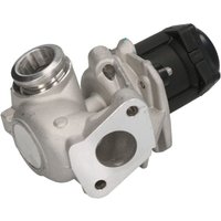AGR Ventil NTK 97868 EGE5-A von Ntk