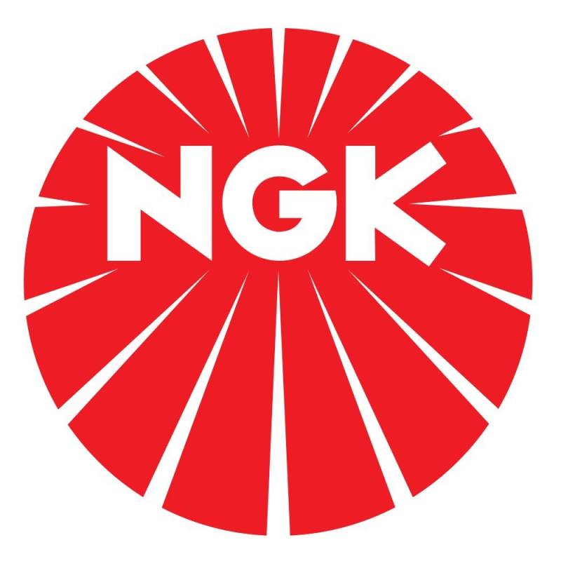 NGK 8205 Zündleitungssatz von NGK