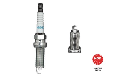 Ngk Zündkerze [Hersteller-Nr. 1406] für Infiniti, Nissan von NGK