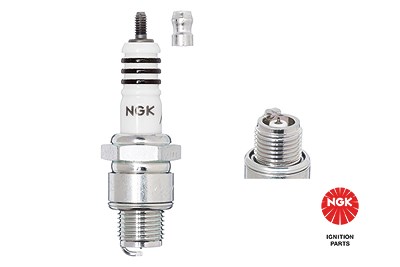 Ngk Zündkerze [Hersteller-Nr. 7067] für Alpine, Aro, Barkas, BMW, Borgward, Citroën, Fiat, Ford, Mercedes-Benz, Opel, Porsche, Renault, Skoda, Trabant von NGK