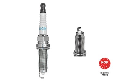 Ngk Zündkerze [Hersteller-Nr. 91691] für Nissan von NGK