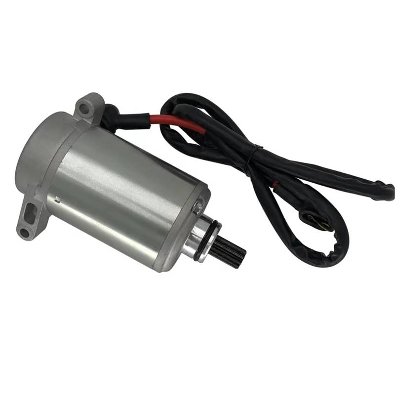 Motorrad-Anlasser F3-D60000-0 Für Loncin Für Jianshe 400cc Für JS400 Mountain Lion JS183FMQ Motorteil ATV Elektrischer Anlasser Starter(Silver) von NITRIMS
