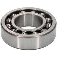 Pendelrollenlager NKE 1205-TV-C3 von NKE