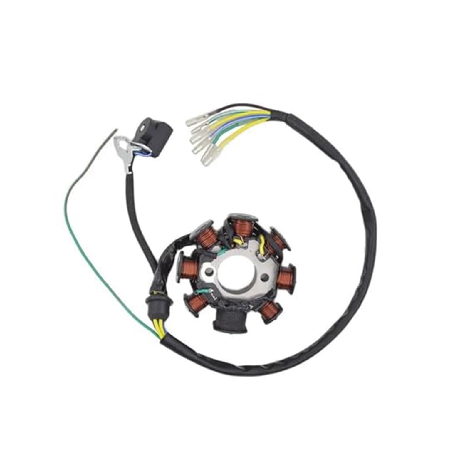 Für CB125 Für WY125 Für WY150 Für CB150 WY CB 125 150 Motorrad 8 Pole Magneto Stator Coil Ersatzteile Generator Magneto Spule Statorspule Für CB125 Für WY125 Für WY150 Für CB150 WY CB 125 150 Motorrad 8 Pole Magneto Stator Coil Ersatzteile Generator Magneto Spule Statorspule von NLNGNZBZTP