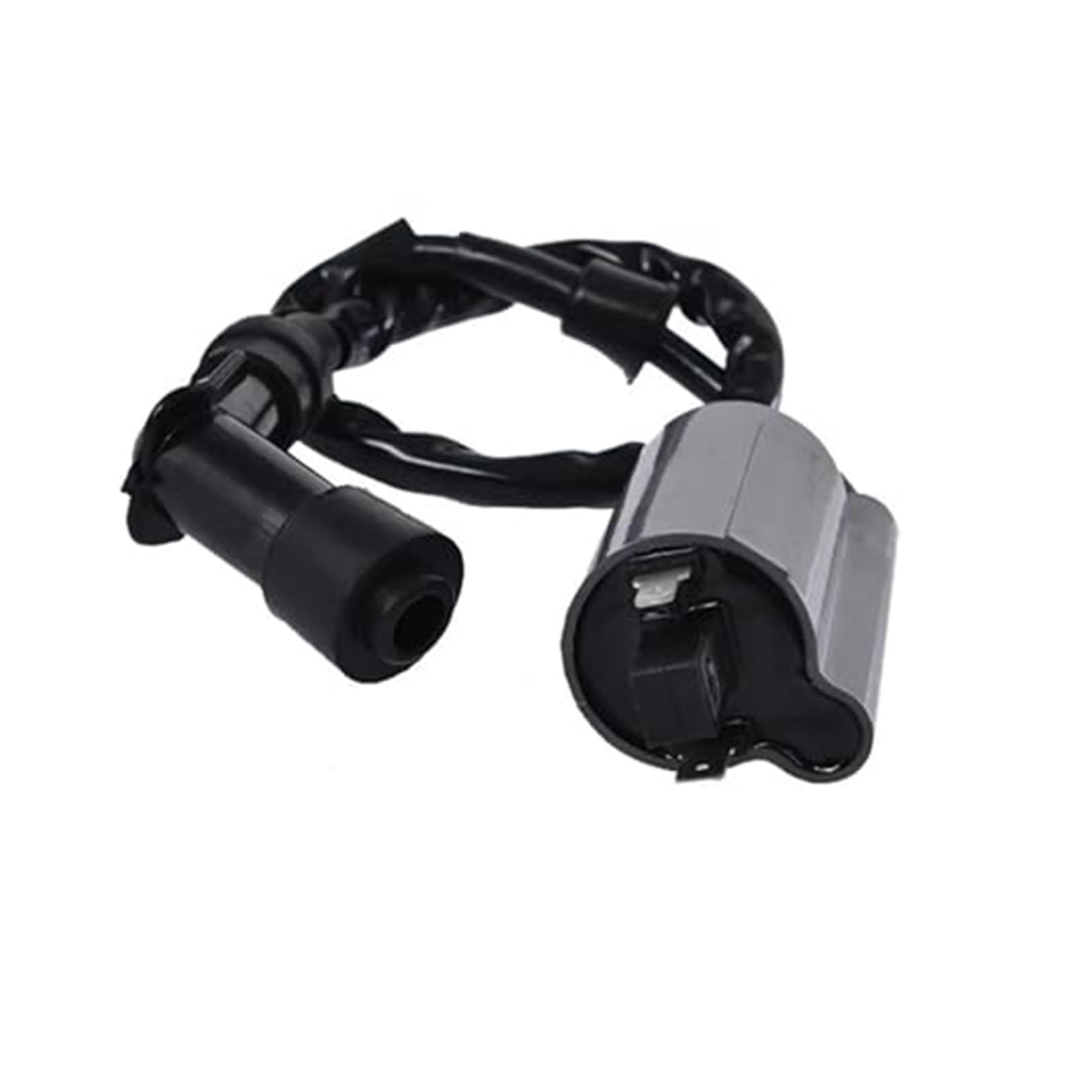 Ignition Coil Ignition Coil for Raptor 700 700R YFM700 for YFM700R 2006 2007 2008 2009 2010 2011 2012 2013 2014 2015 2016 2017 2018 2019 Ignition Switch Statorspule von NLNGNZBZTP
