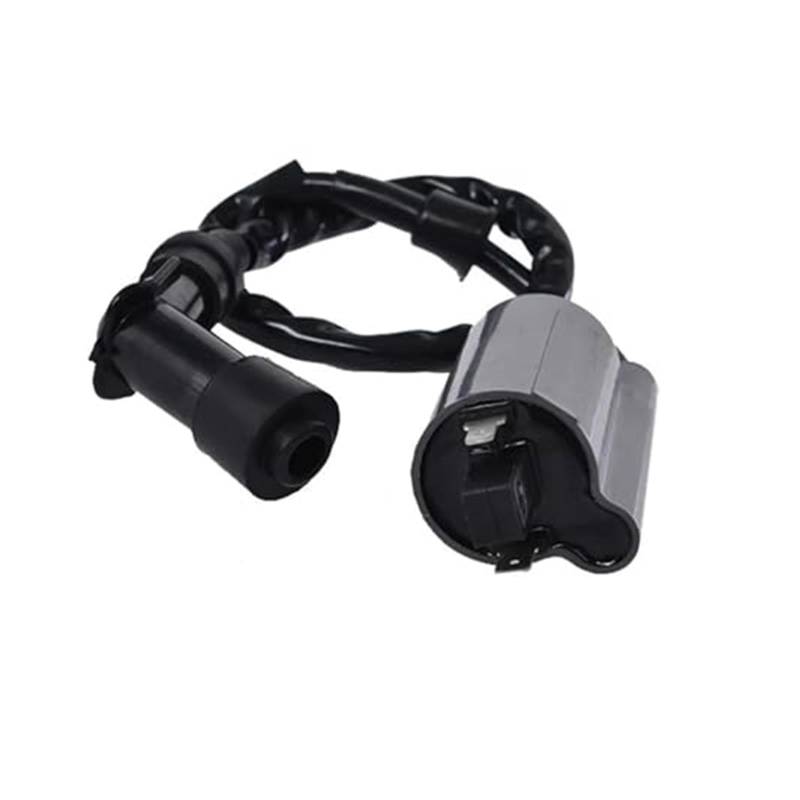 Ignition Coil Ignition Coil for Raptor 700 700R YFM700 for YFM700R 2006 2007 2008 2009 2010 2011 2012 2013 2014 2015 2016 2017 2018 2019 Ignition Switch Statorspule von NLNGNZBZTP